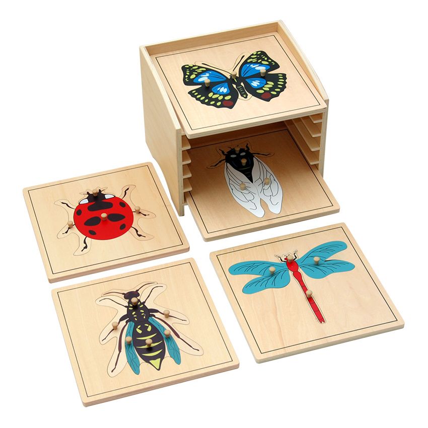 Insect Puzzle Cabinet With 5 Puzzles