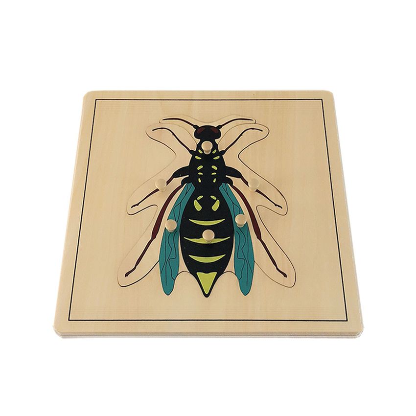 Wasp Puzzle