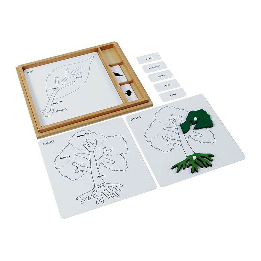 Botany Puzzle Activity Set