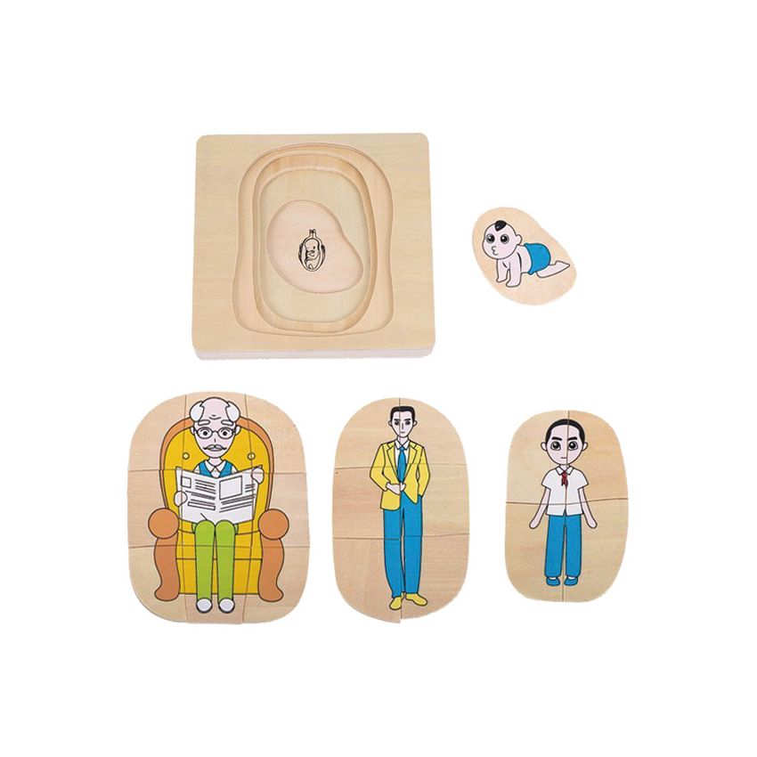 Life-Cycle Puzzle Of A Man