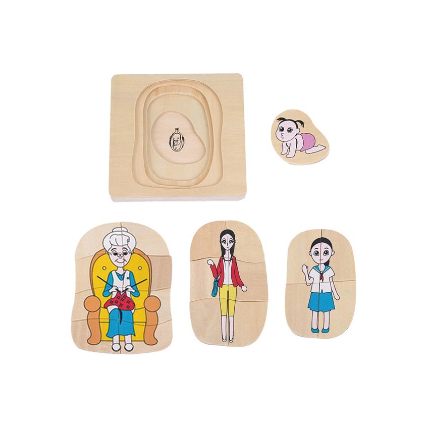 Life-Cycle Puzzle Of A Woman