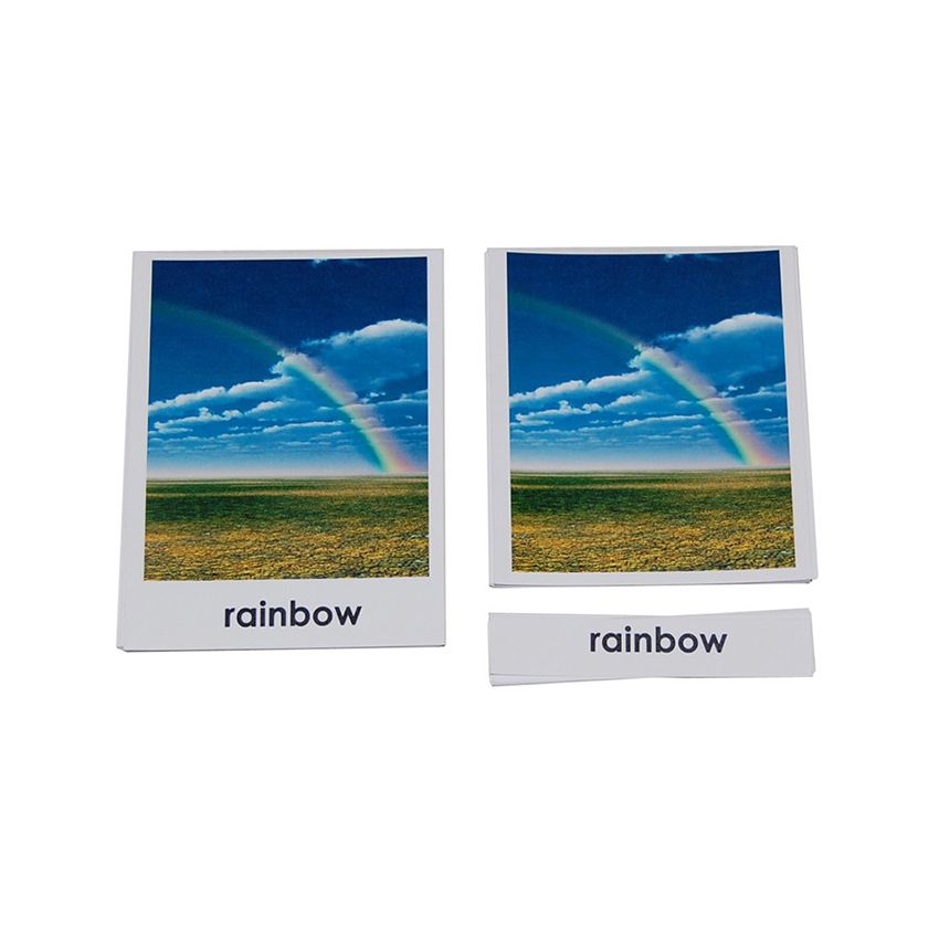 Weather 3 Part Cards