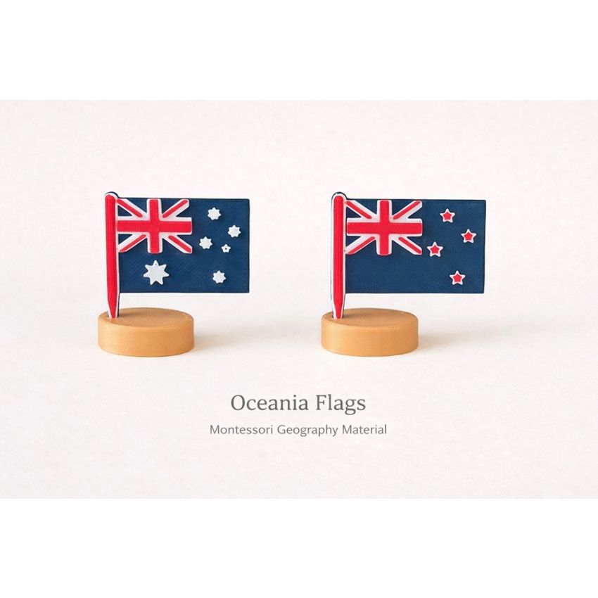 Montessori World Flags Set (50 Pieces)
