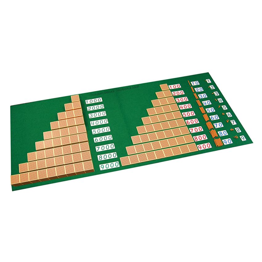 Mat For Bird's Eye View Activity