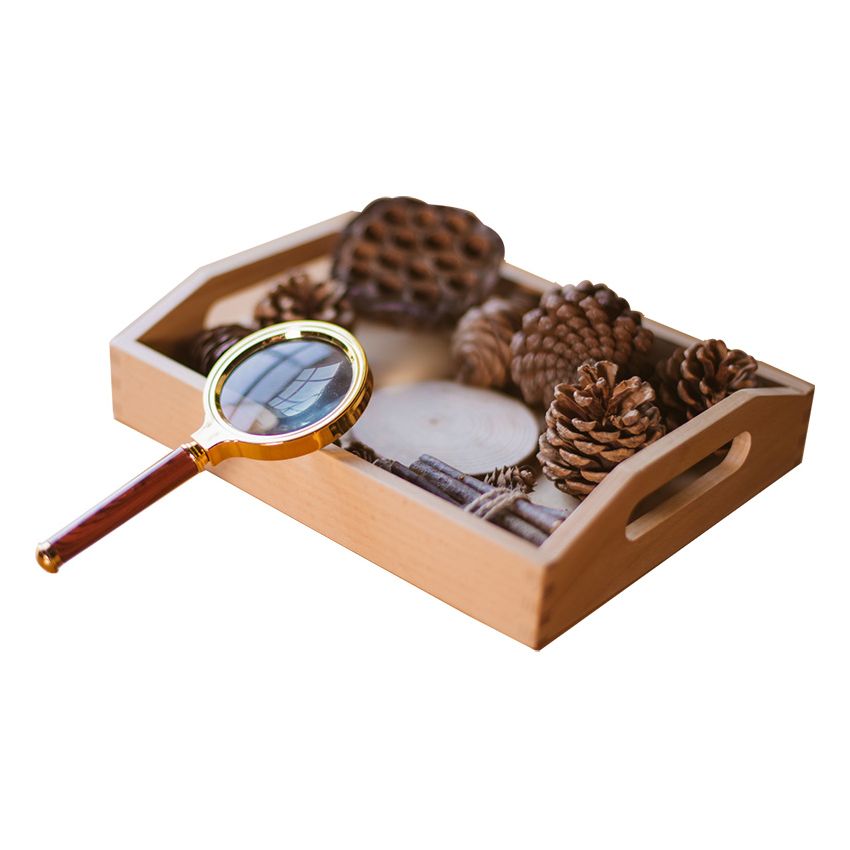 Examining With Magnify Activity Set