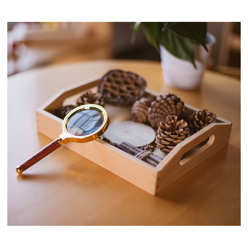 Examining With Magnify Activity Set