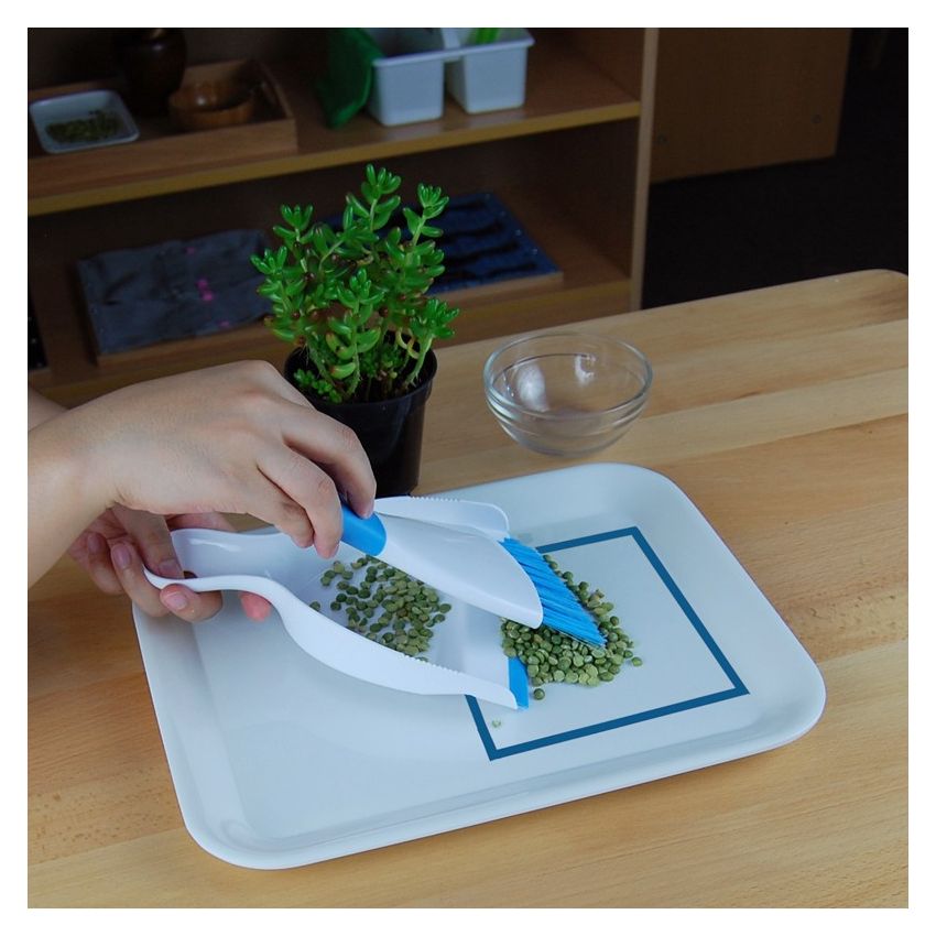 Crumbing A Table With Plastic Tray (Blue Tapes not included)
