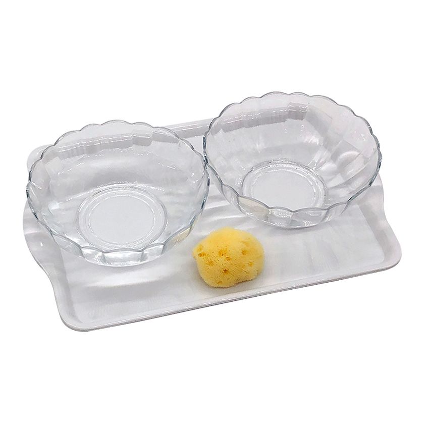 Water Transfer Using A Sponge