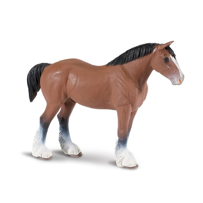 Clydesdale Stallion