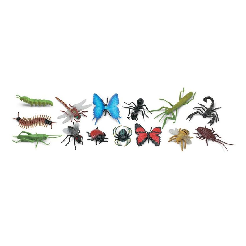 Insects