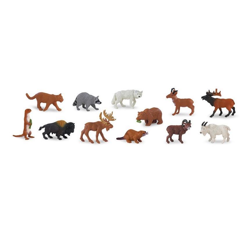 North American Wildlife