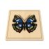Butterfly Puzzle
