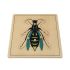 Wasp Puzzle