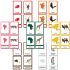 Animals of Seven Continents 3 Part Cards - PP Plastic