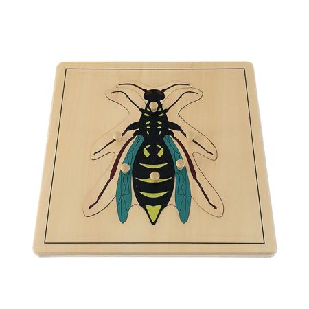 Wasp Puzzle