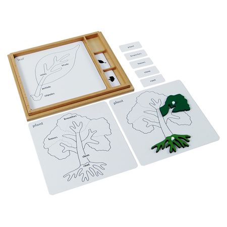 Botany Puzzle Activity Set