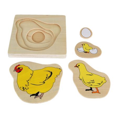 Chicken Life-Cycle Puzzle