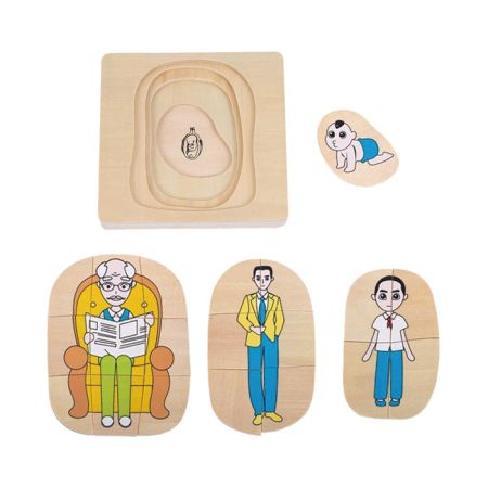 Life-Cycle Puzzle Of A Man