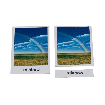 Weather 3 Part Cards