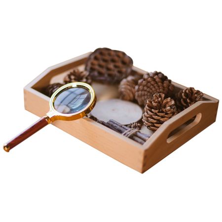 Examining With Magnify Activity Set