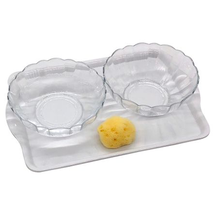 Water Transfer Using A Sponge