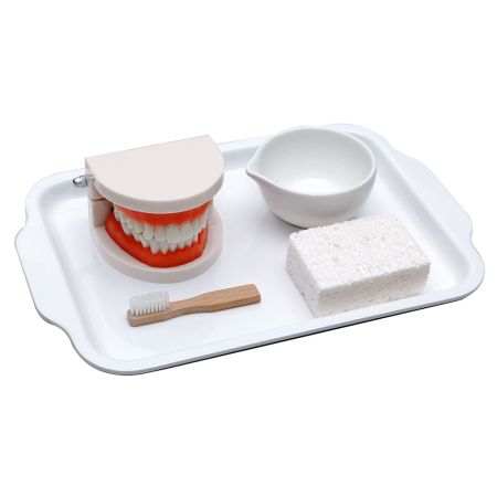 Brushing Teeth Activity Set