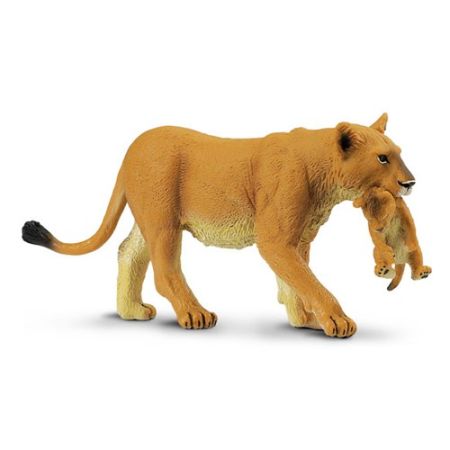 Wild Jungle Lioness With Cub