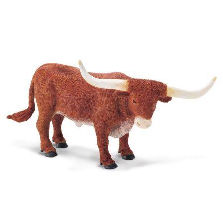 Farm Texas Longhorn Bull