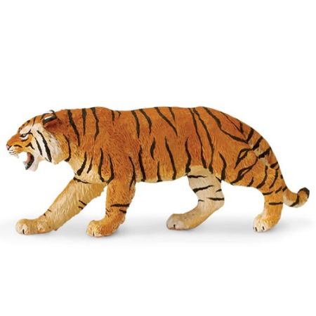 Bengal Tiger