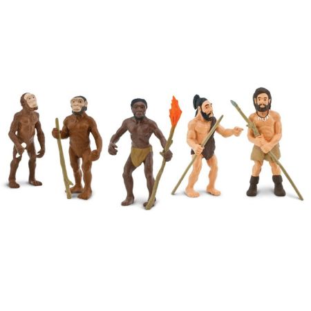 Evolution Of Man