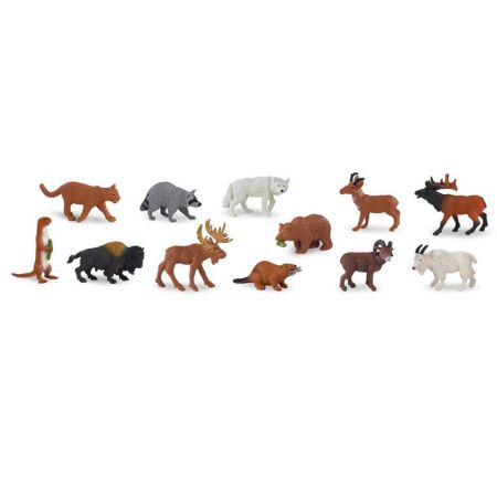 North American Wildlife