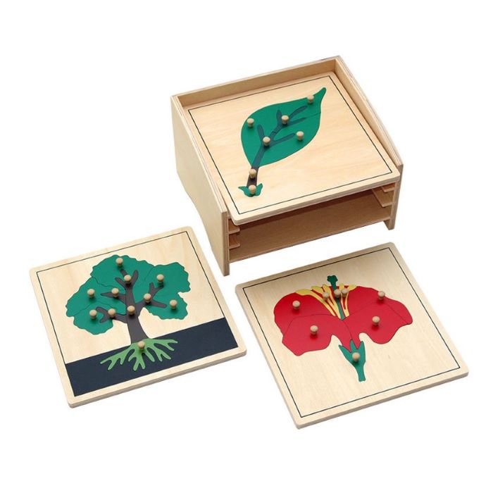 Montessori Botany Materials
