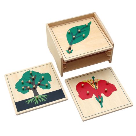 Botany Puzzle Cabinet With 3 Puzzles