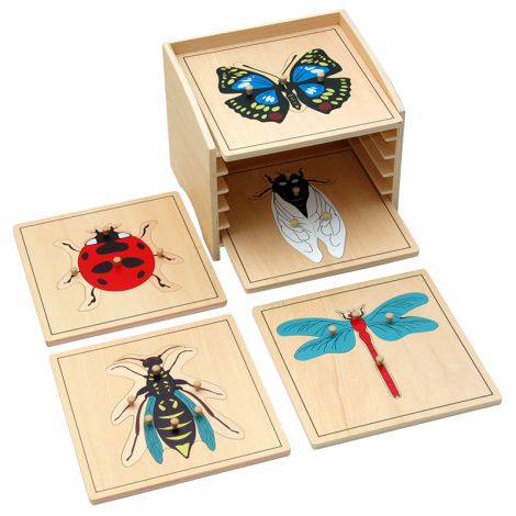 Insect Puzzle Cabinet With 5 Puzzles