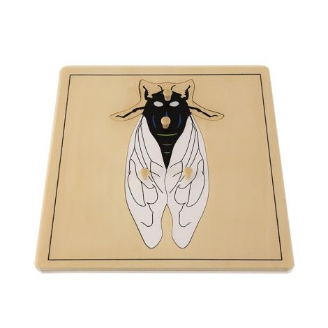 Fly Puzzle