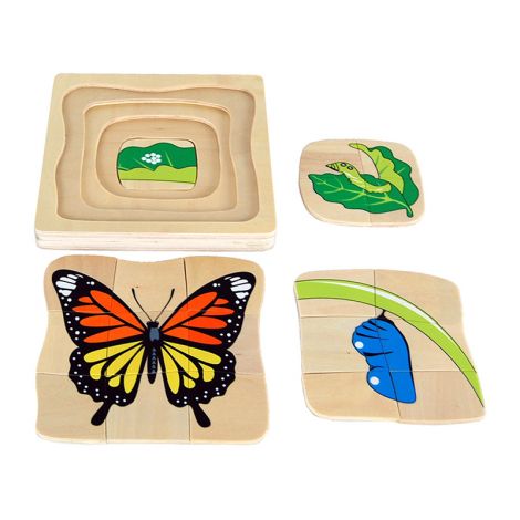 Butterfly Life-Cycle Puzzle