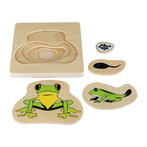 Frog Life-Cycle Puzzle