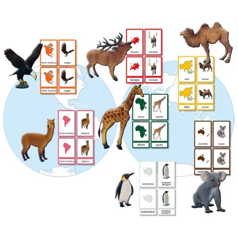 Animals of Seven Continents 3 Part Cards - PP Plastic with Animals Figures