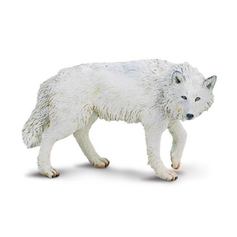Wild Forest White Wolf